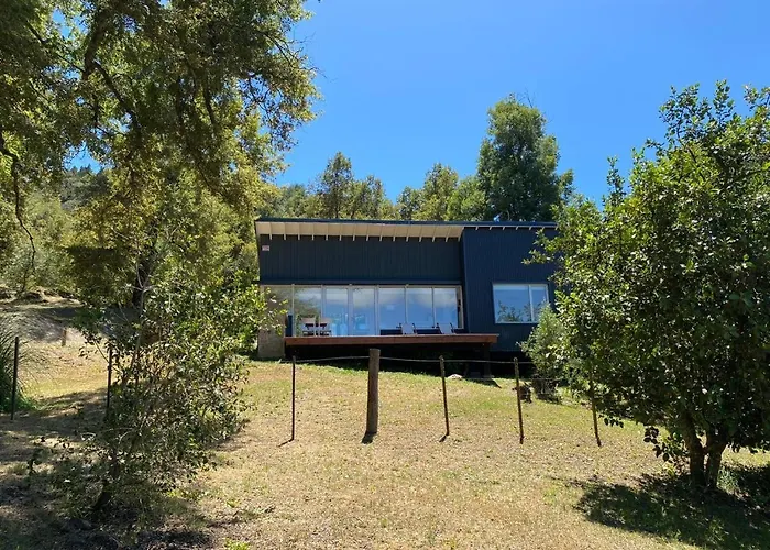 Moderna Casa En El Bosque