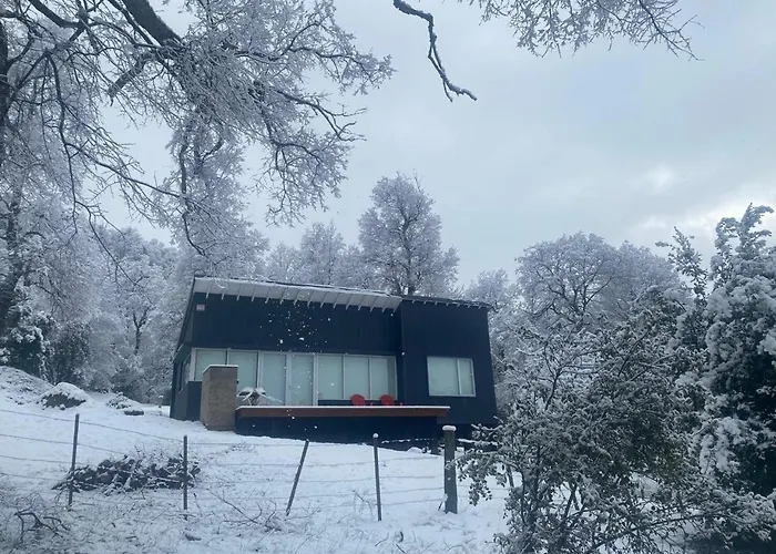 Moderna Casa En El Bosque